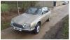 post-4091-0-11704200-1515791596_thumb.jpeg