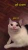 post-5435-0-15879200-1548196050_thumb.jpg