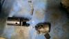 post-17353-0-47273800-1487664022_thumb.jpg