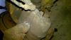 post-19712-0-74856000-1550247045_thumb.jpg