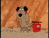 asdd6.gif