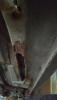 post-4015-0-07714600-1552074274_thumb.jpeg