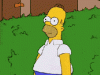 post-19618-0-06230100-1493300347_thumb.gif