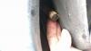 post-5612-0-35107300-1492455089_thumb.jpg