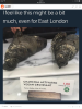 post-20755-0-91505500-1524691501_thumb.png