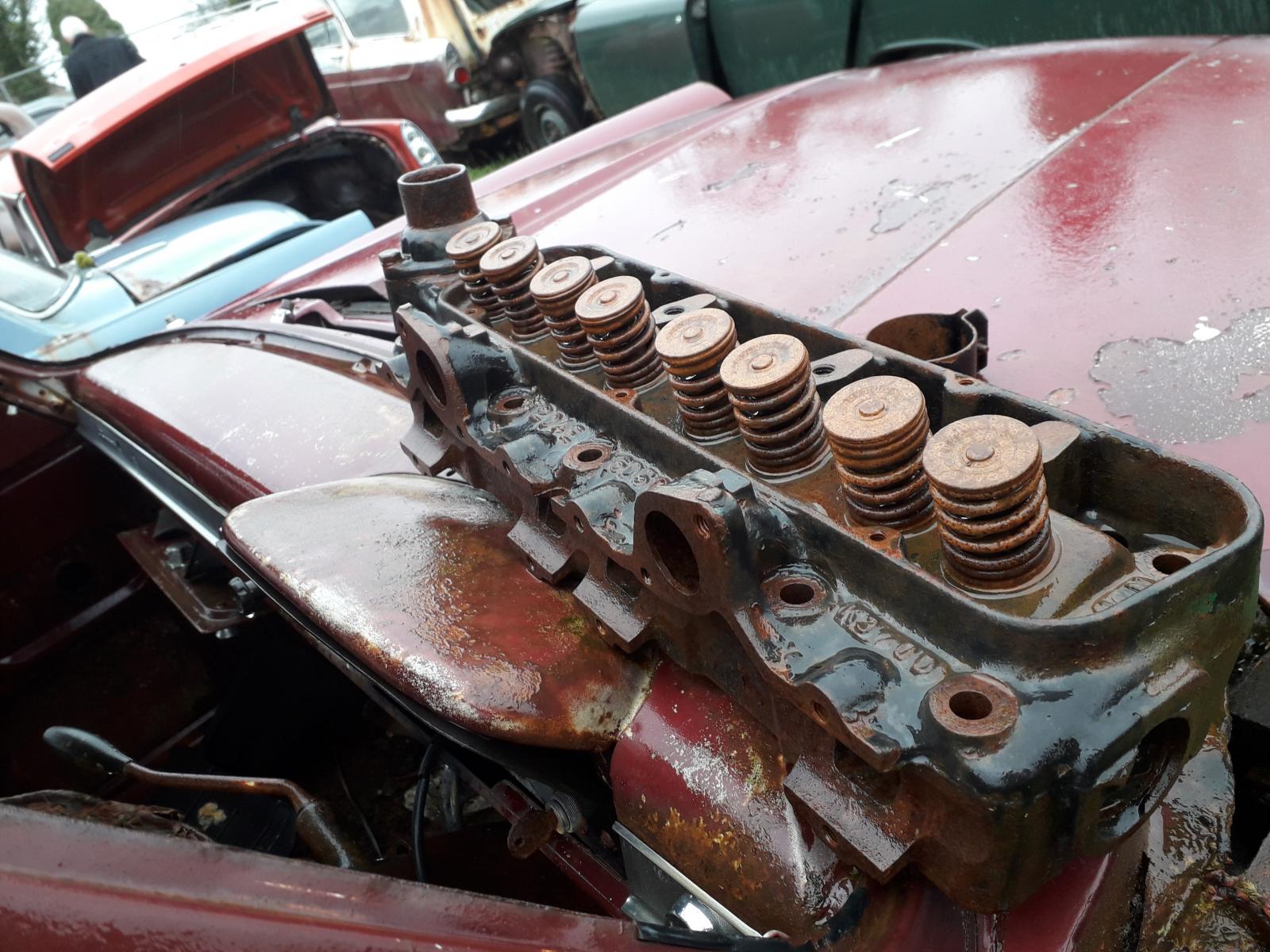 20180402_100405.jpg