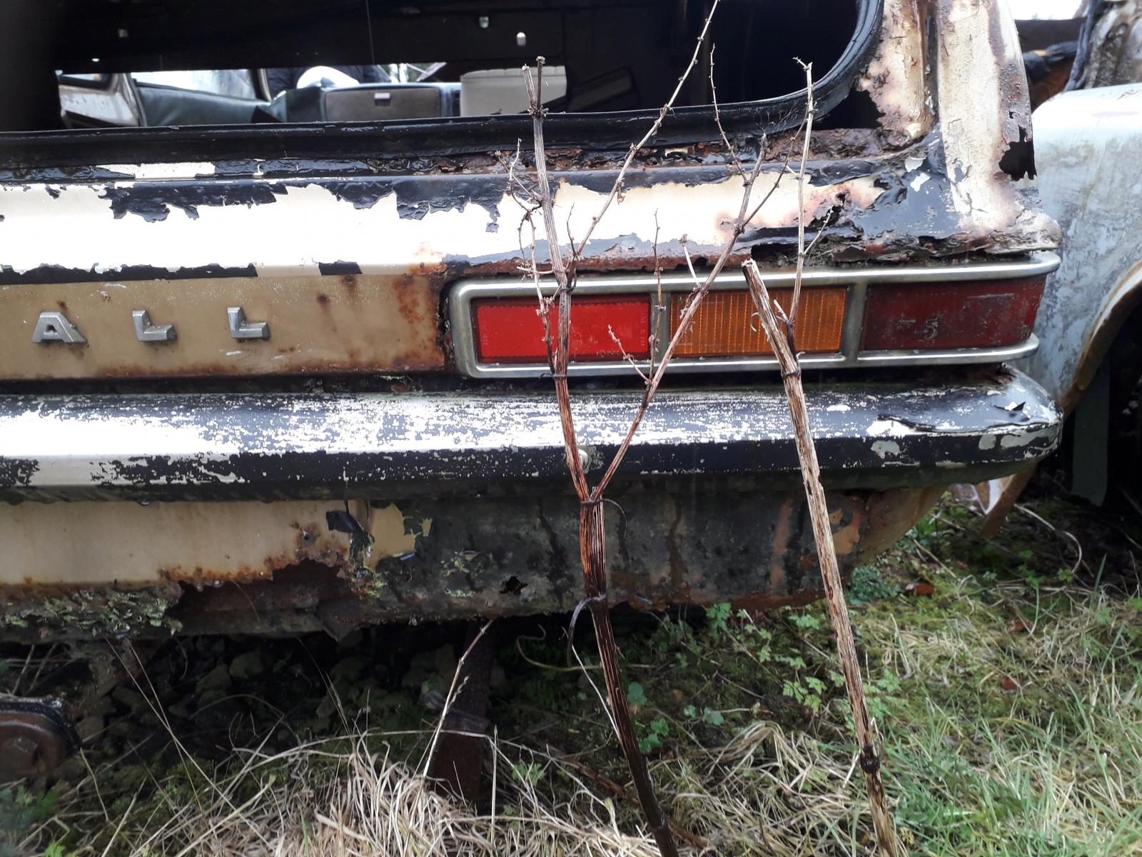 20180402_121250.jpg