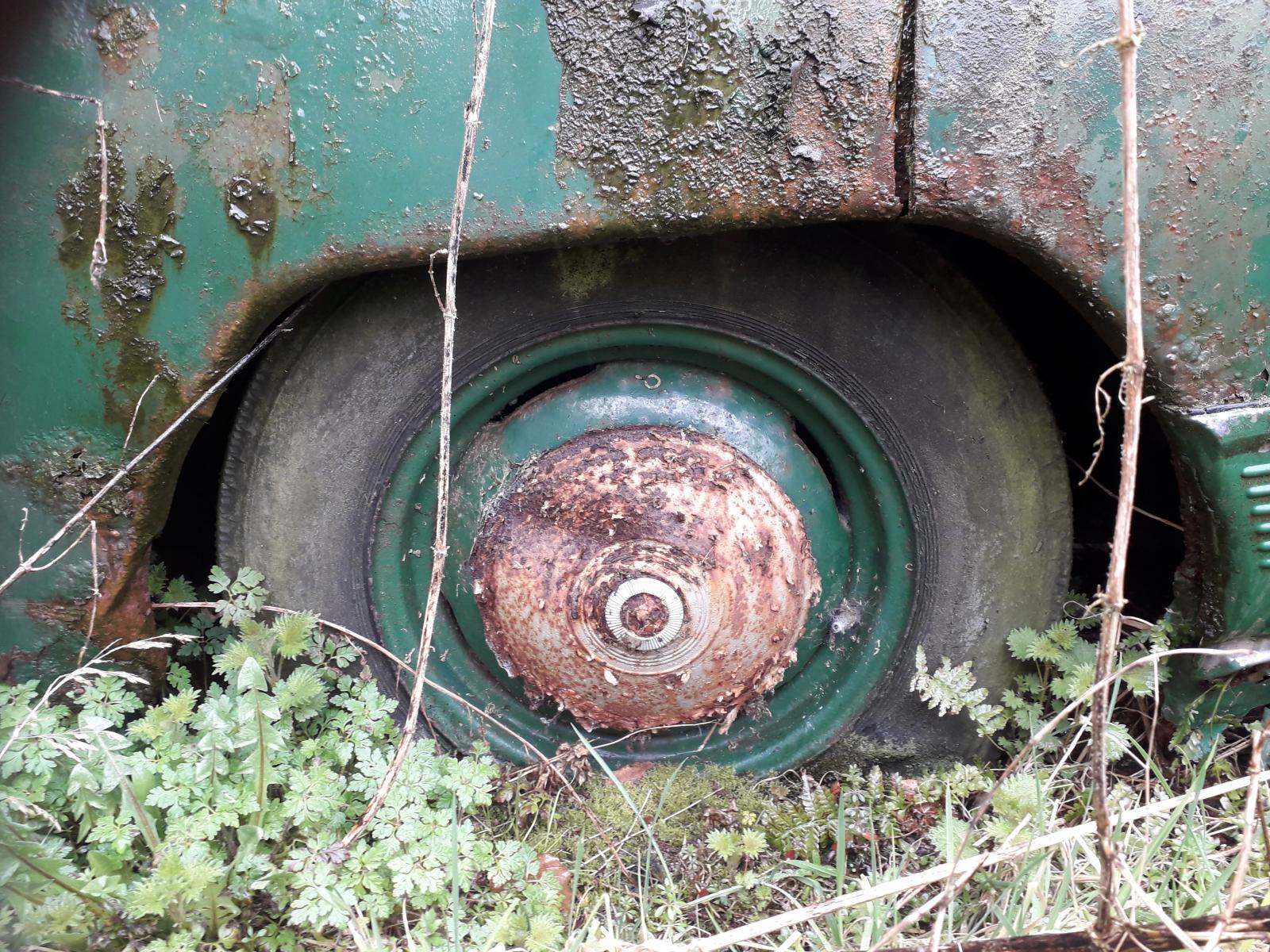 20180402_121058.jpg