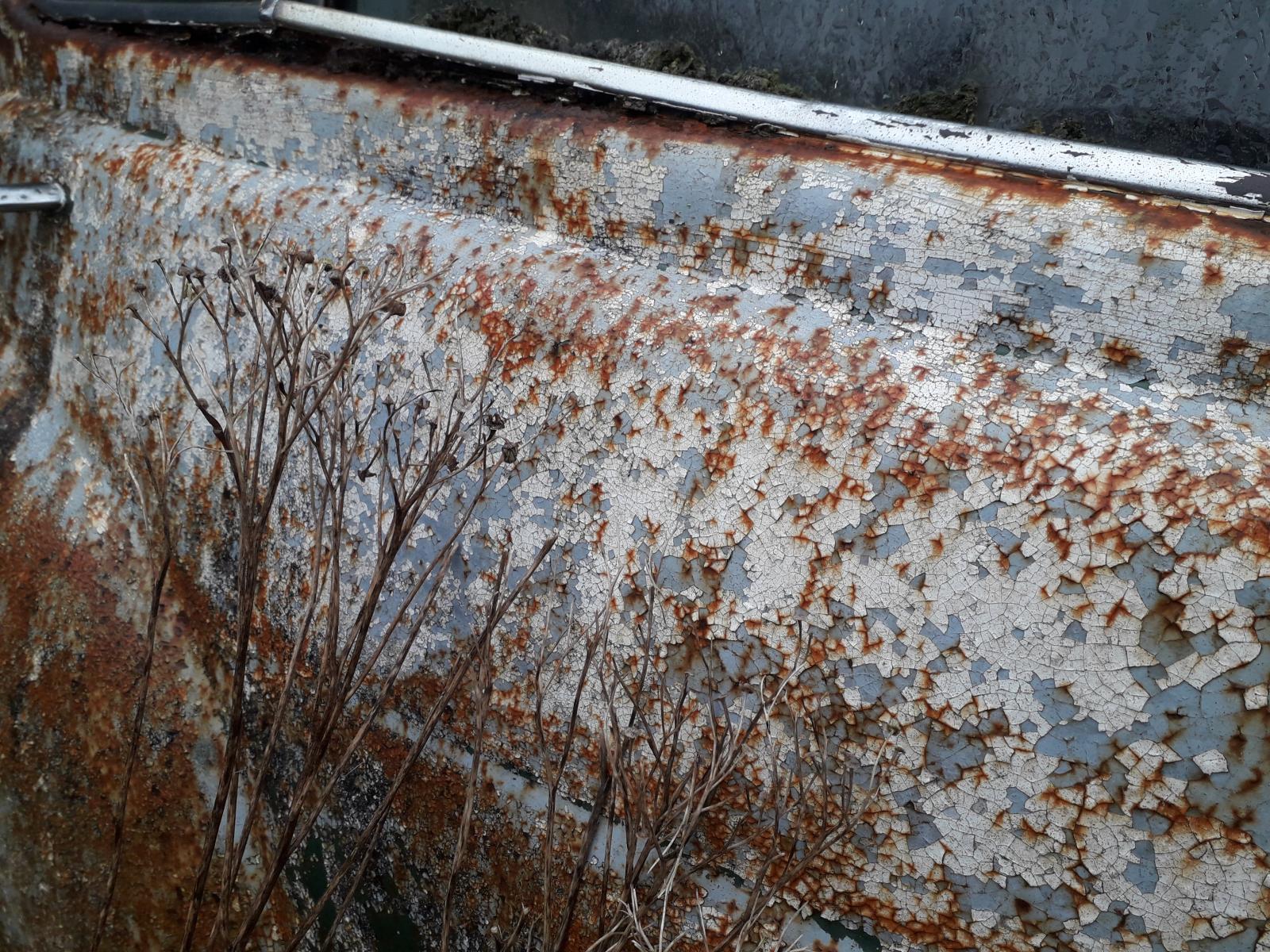 20180402_100132.jpg
