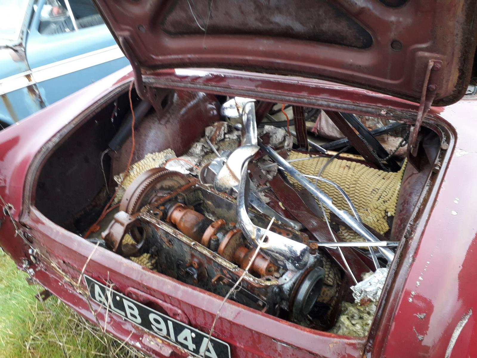 20180402_095738.jpg
