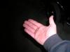 post-18270-0-85978600-1527281467_thumb.jpg