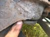 post-4019-0-01173400-1531048684_thumb.jpeg
