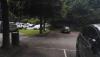 IMG_20160715_172214.jpg
