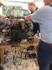 post-20129-0-70406600-1505149602_thumb.jpg