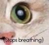 post-19970-0-81959200-1537631571_thumb.jpg