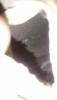 post-24858-0-47352200-1537620593_thumb.jpg