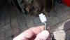 post-5525-0-69907000-1537022878_thumb.jpg
