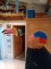post-13750-0-95666000-1543002070_thumb.jpg