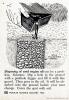 post-17940-0-33651500-1418203295_thumb.jpg