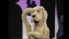 post-17845-0-84251600-1482240389_thumb.png