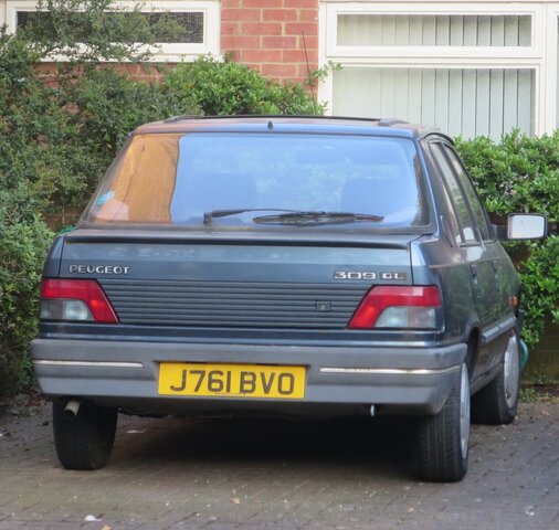 2129195889_Oneowner1991Peugeot309GLFinchley.thumb.JPG.6afc1f4a6def0c06e5f73ac5b0a2d5f8.JPG