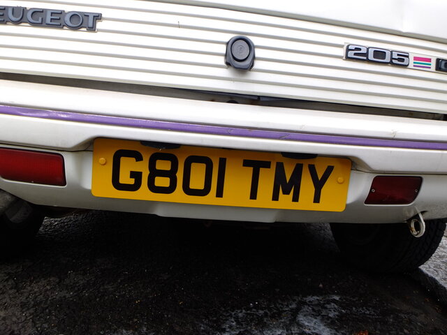 DSCF0667.JPG