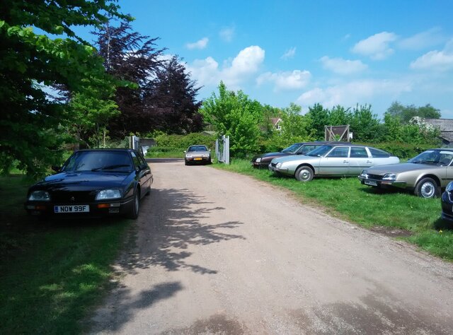 IMG_20190511_142702.jpg