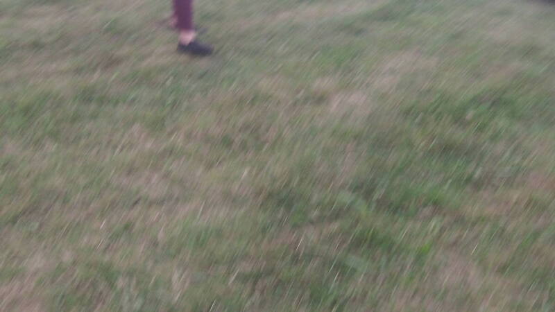 100_0883.thumb.JPG.32fb4244c79be8cdd73bc85bbf689138.JPG