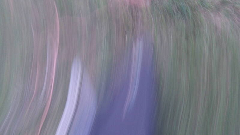 100_0901.thumb.JPG.312b505523a31ee75c519f2404a9e83a.JPG