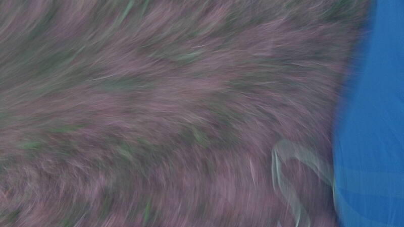100_0907.thumb.JPG.9aa427ea6106817886122c60fe0957f6.JPG