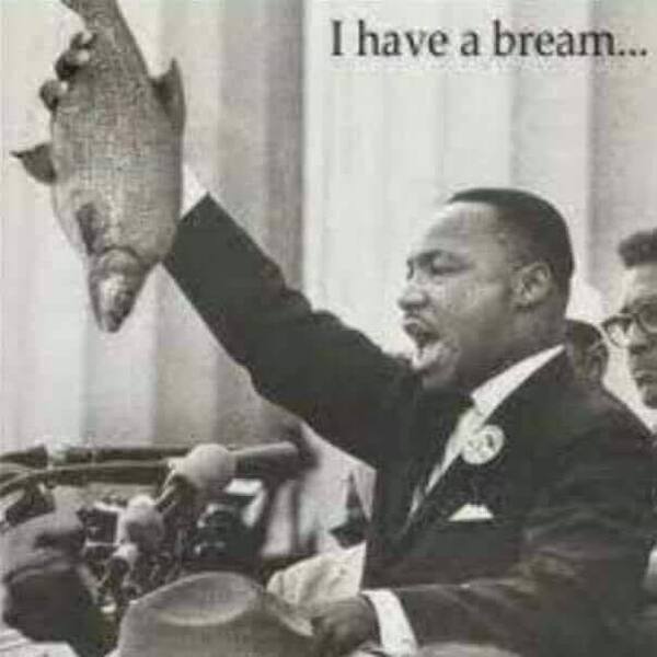 Bream.jpg