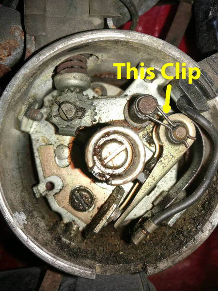 IMG_20190715_121510 arrow broad.jpg