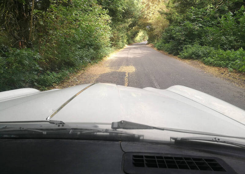 IMG_20190830_094802 broad.jpg