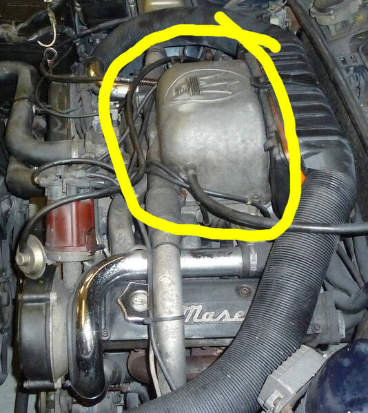 P1240852 crop lined broad.jpg