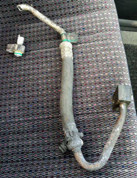 IMG_20190910_103420 broad.jpg