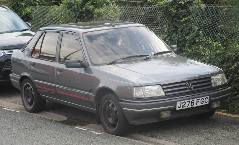 62705838_1992Peugeot309GRDTOct2014.thumb.JPG.e861c07c1e9eb42b8fa3835a4042696f.JPG