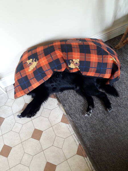20190530_161851.jpg