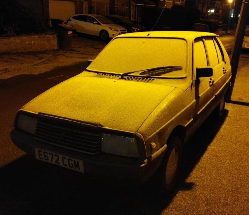 Miss January 2021.jpg