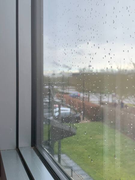 Image from iOS (2).jpg