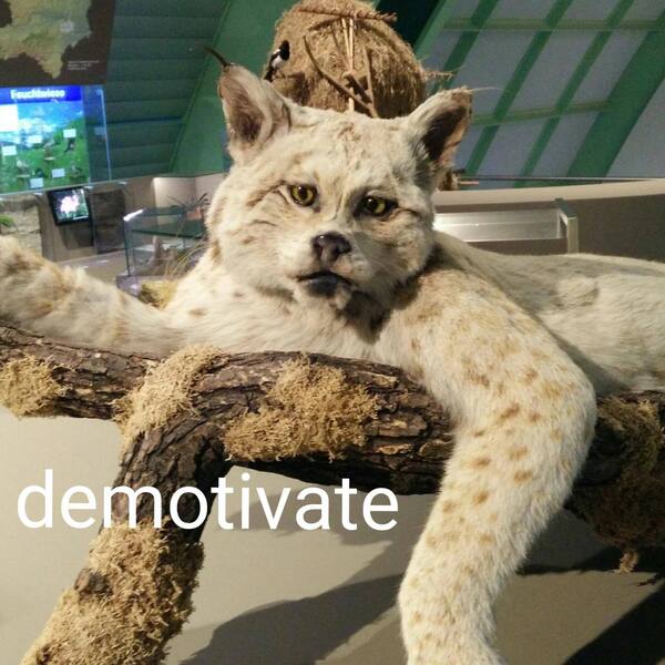 Demotivate.thumb.jpg.69f0f157f757bdaf5aee7d3f6db95c7b.jpg