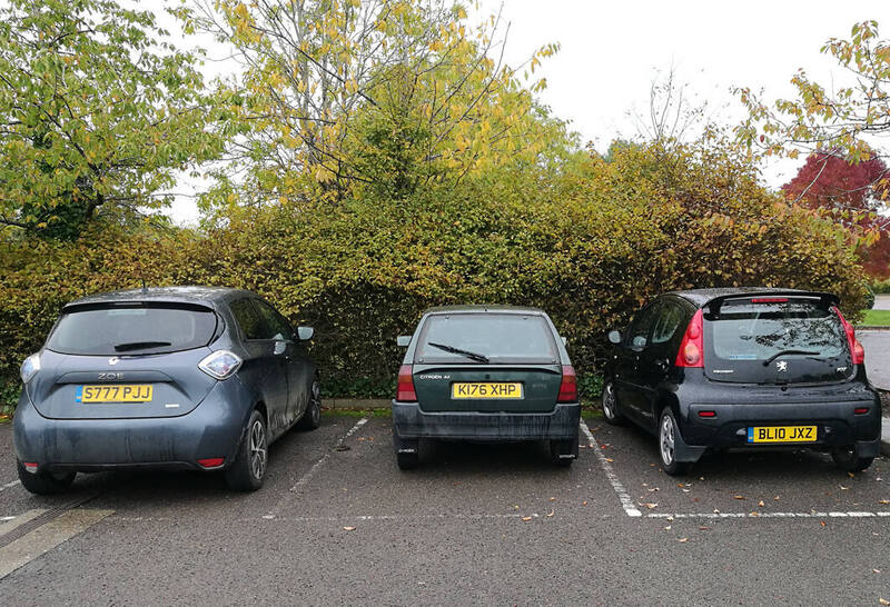 IMG_20191025_110438 broad.jpg