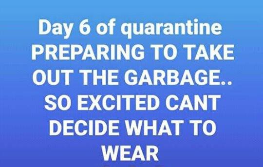 garbage.jpg.555d9932743d4cf229d8762c497dc78c.jpg