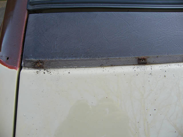 20120328-14.jpg.d19fcdb57ab86ea35f52e4398021e24f.jpg