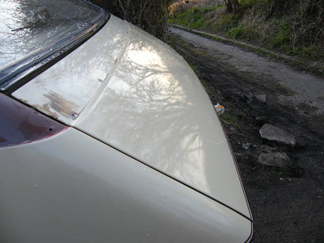 20120328-19.jpg.6b8a021c5da2a3dbac5048e1c6274274.jpg
