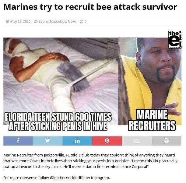 Guy sticks Dick in Bee Hive.JPG