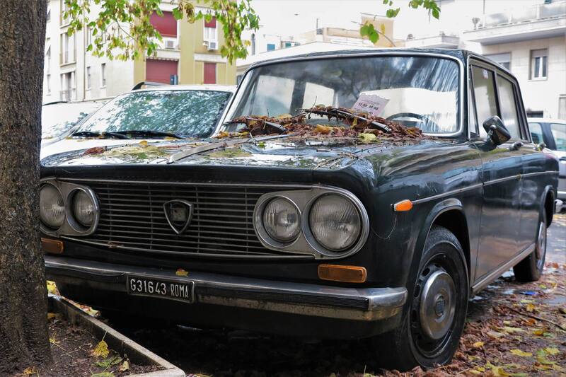 fulvia.thumb.JPG.b8b21091db12c5c57a641e4e578c40ed.JPG