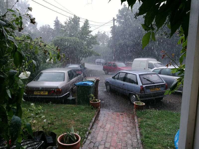 IMG_20200627_173019 broad.jpg