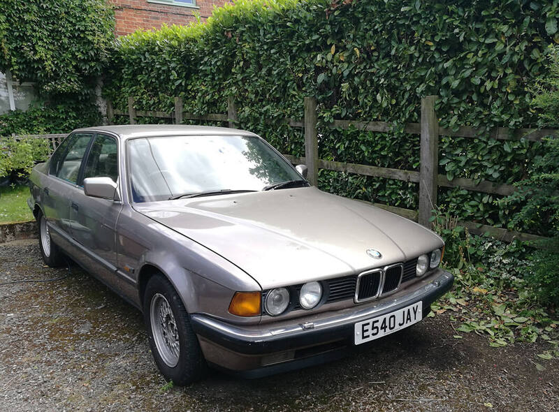 IMG_20200705_123607 broad.jpg