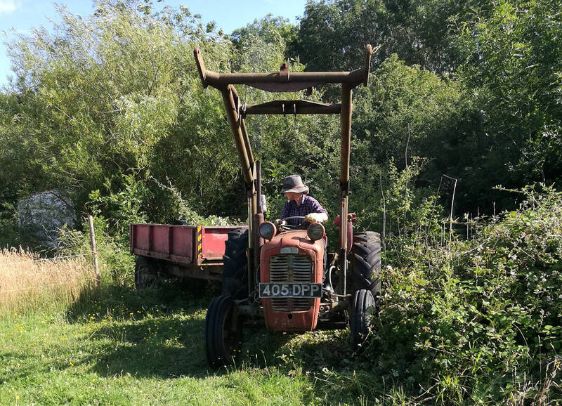 IMG_20200705_172533 broad.jpg