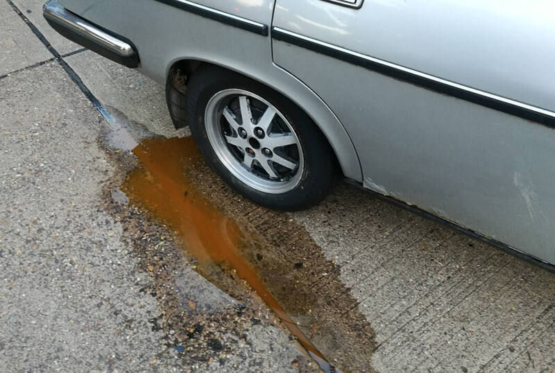 IMG_20200818_200126 broad.jpg